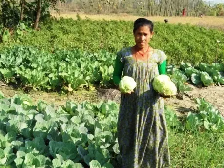 Transforming Fallow Land into a Source of Prosperity