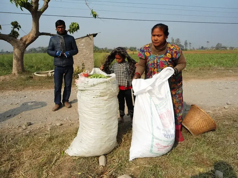 Vegetable Farming Transformed My Life: Hathani's Journey