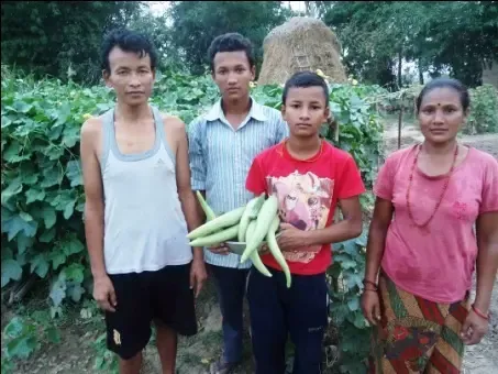 The Green Revolution Begins: Bishnu Maya's Organic Triumph