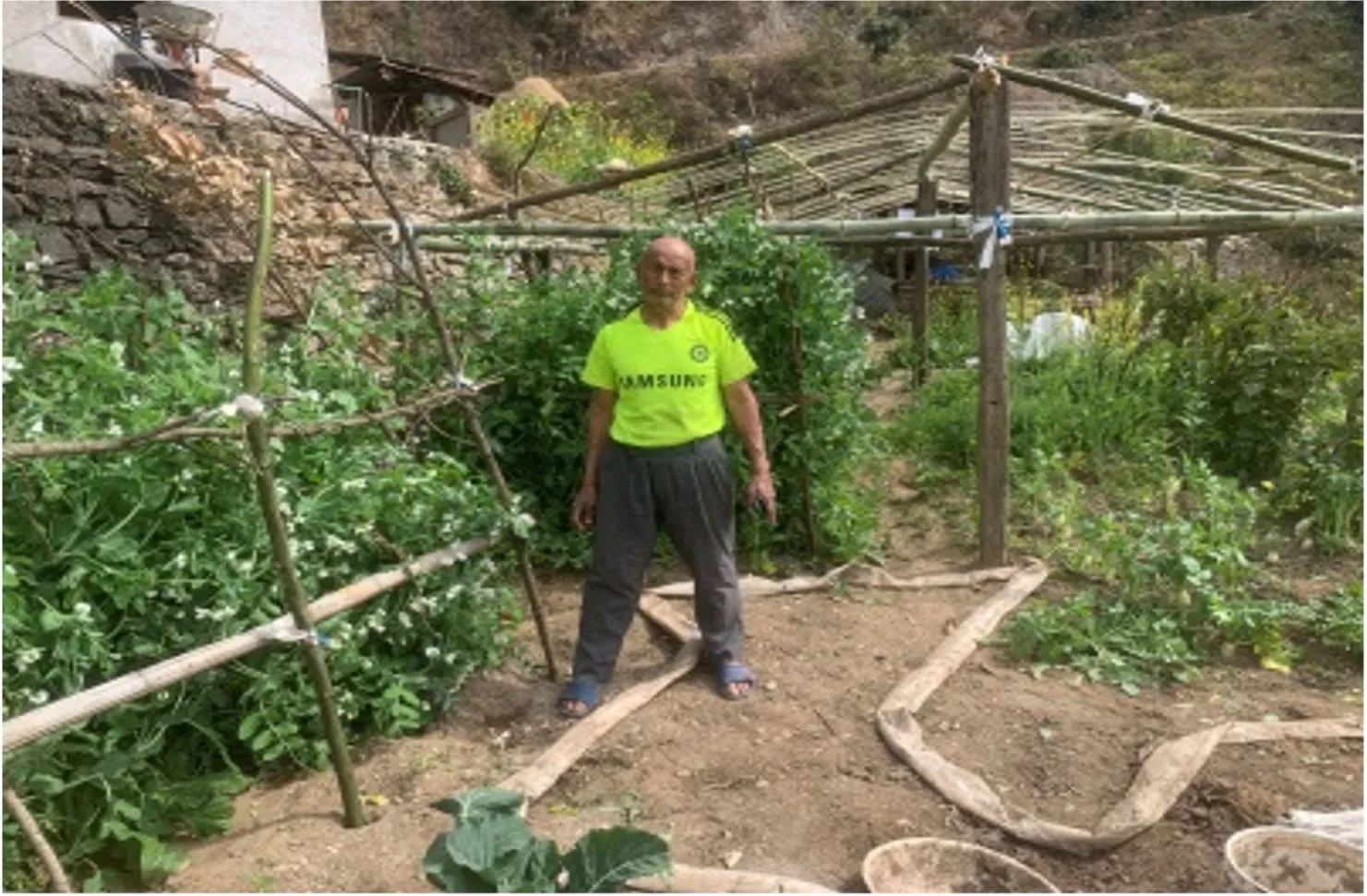 Finding New Purpose: A Teacher's Journey into Commercial Organic Farming