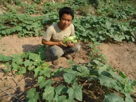 A Wake of New Life from a Degraded Riverbed