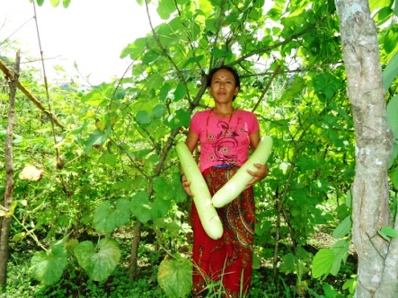 Cover Image for Liquor Making Drum Used For Making Organic Pesticides In Gairibari Chitwan